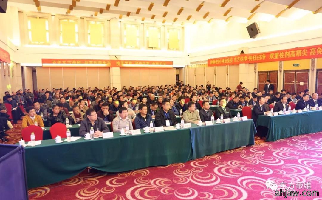 泰山论道 福祉东来 东方帝维事业合伙人峰会暨东方福上市发布会(泰山站)