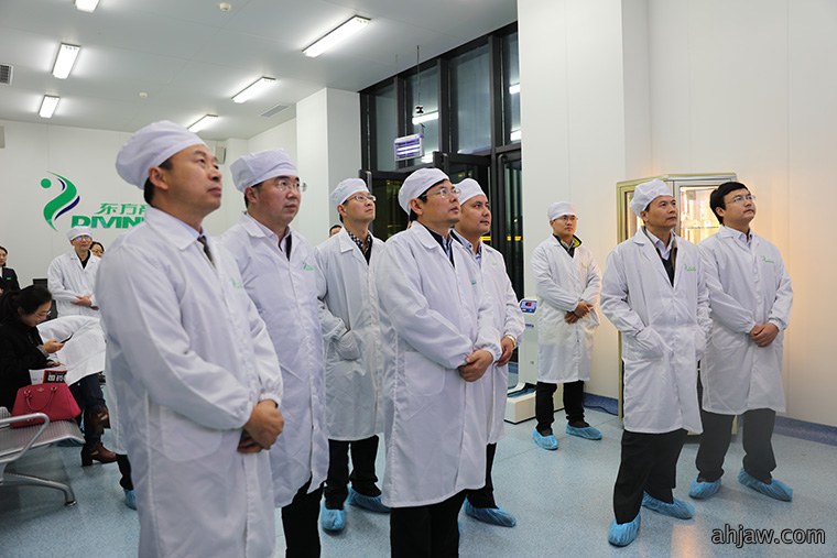 东方帝维荣获安徽省“三重一创”项目支持