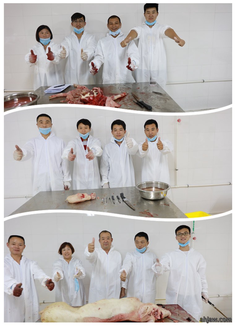 祝贺东方帝维健康养殖技术学院第四期培训班圆满成功!
