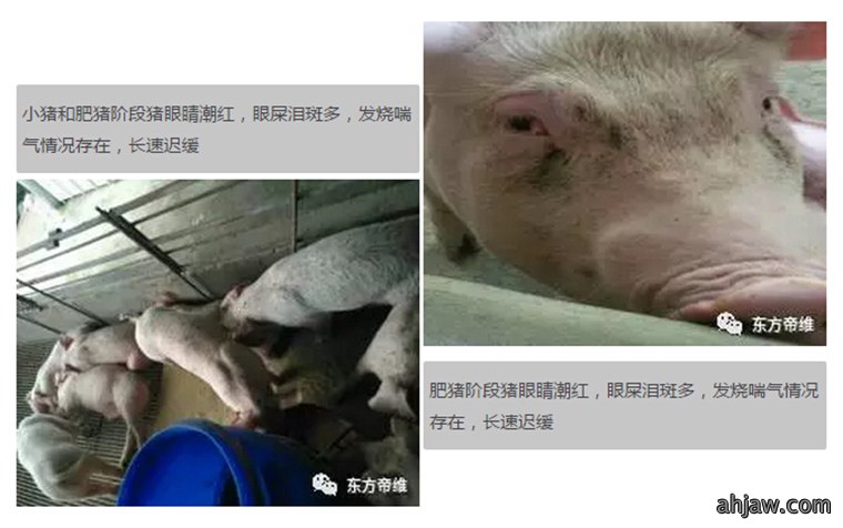 东方帝维健康万场行——东方伪净NO1001案例佐证