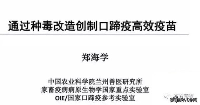 连载:东方帝维直播曹曼大会,干货都在这里!!!