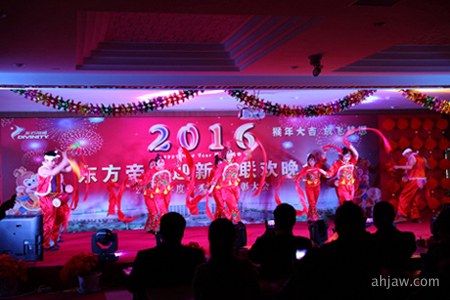 东方帝维2016迎新春晚会及2015年终总结表彰大会