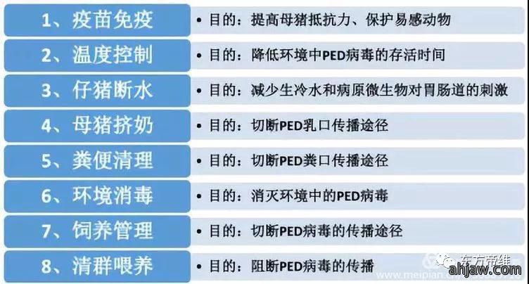 干货!「曹曼大会」猪流行性腹泻报告云集