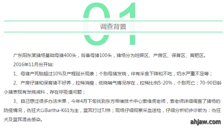 东方帝维健康万场行——东方伪净NO1001案例佐证