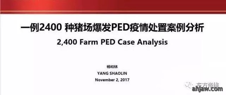 东方帝维直播曹曼大会,干货都在这里!!!