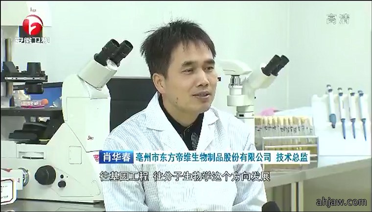 东方帝维质量总监肖华春接受安徽电视台采访