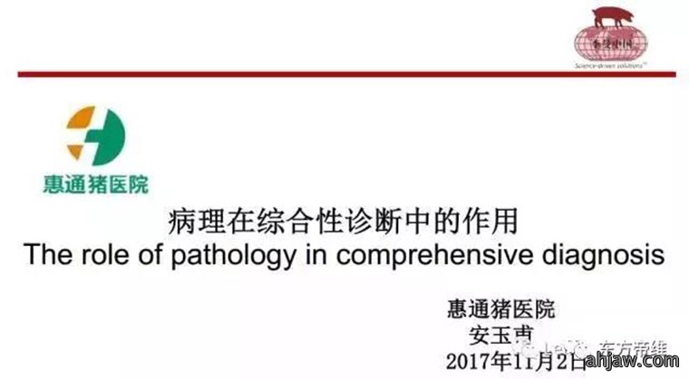 东方帝维直播曹曼大会,干货都在这里!!!