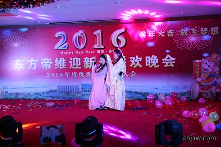 东方帝维2016迎新春晚会及2015年终总结表彰大会