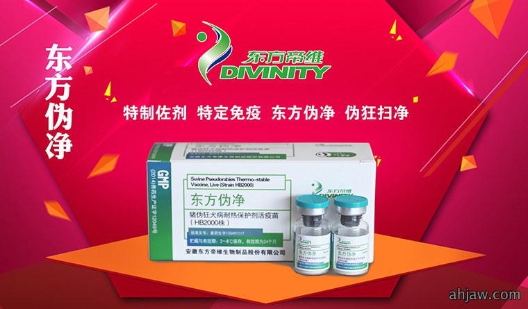 万头猪场老板和市县服务商云集,东方帝维事业合伙人招募如火如荼!