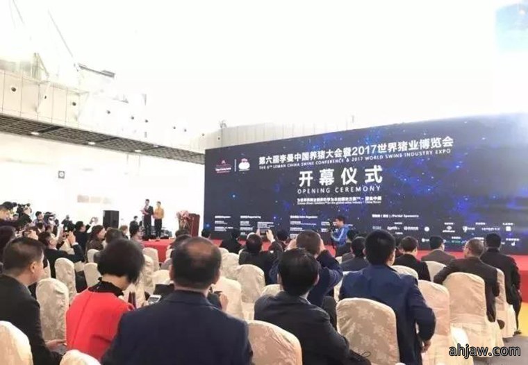东方帝维直播曹曼大会,干货都在这里!!!