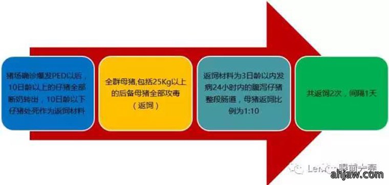 东方帝维直播曹曼大会,干货都在这里!!!