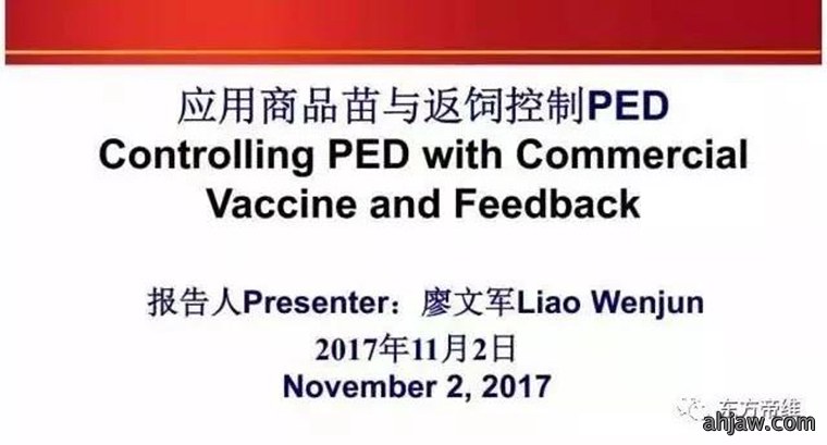 东方帝维直播曹曼大会,干货都在这里!!!