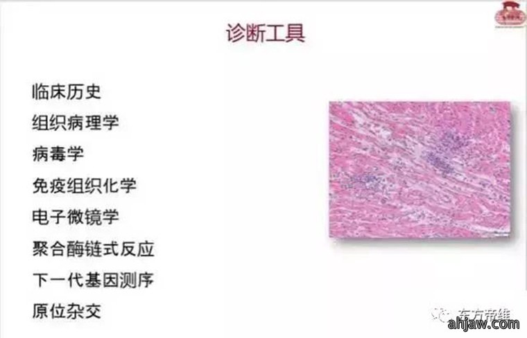 连载:东方帝维直播曹曼大会,干货都在这里!!!