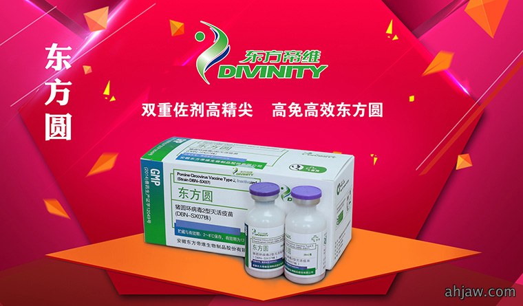 万头猪场老板和市县服务商云集,东方帝维事业合伙人招募如火如荼!