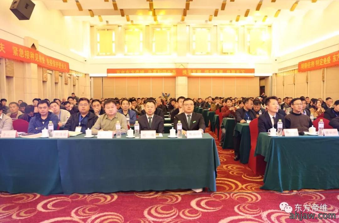 泰山论道 福祉东来 东方帝维事业合伙人峰会暨东方福上市发布会(泰山站)