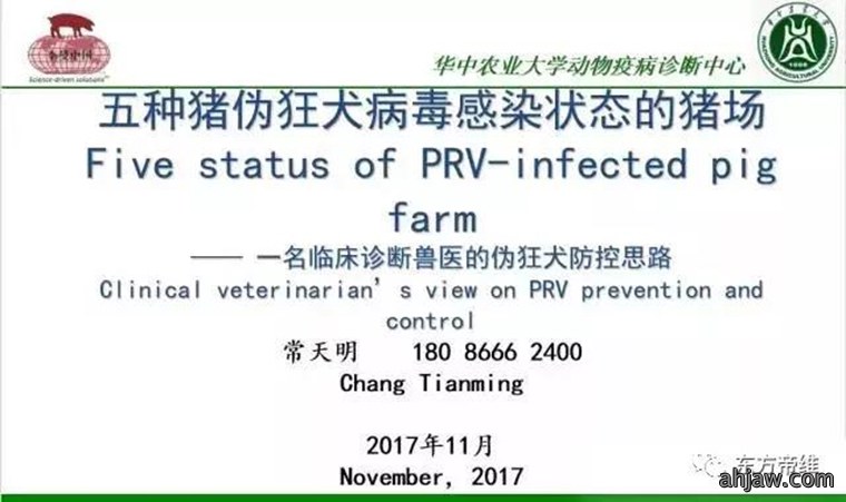 东方帝维直播曹曼大会,干货都在这里!!!