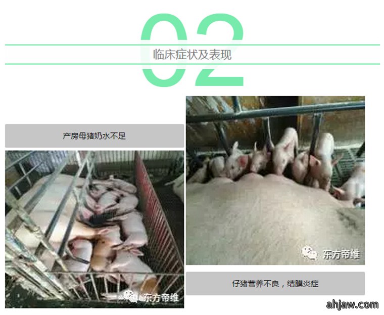 东方帝维健康万场行——东方伪净NO1001案例佐证