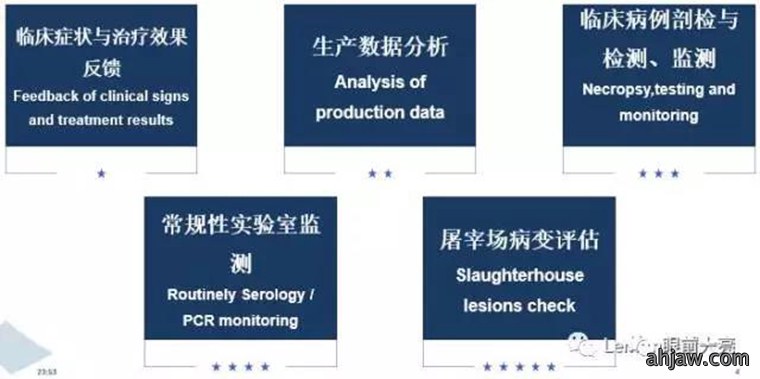 东方帝维直播曹曼大会,干货都在这里!!!