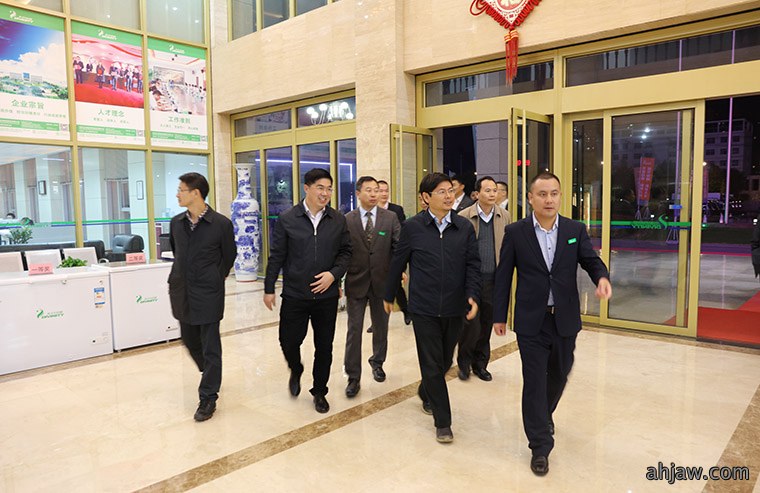 东方帝维荣获安徽省“三重一创”项目支持