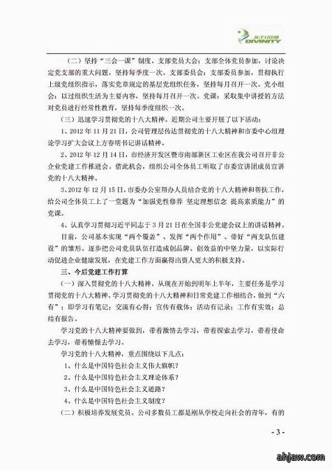 东方帝维简报（***期）