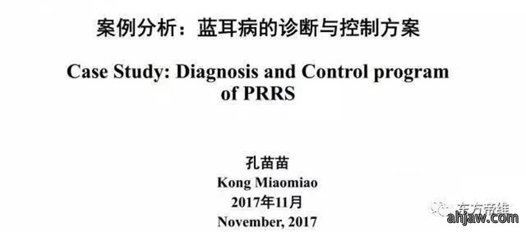 东方帝维直播曹曼大会,干货都在这里!!!