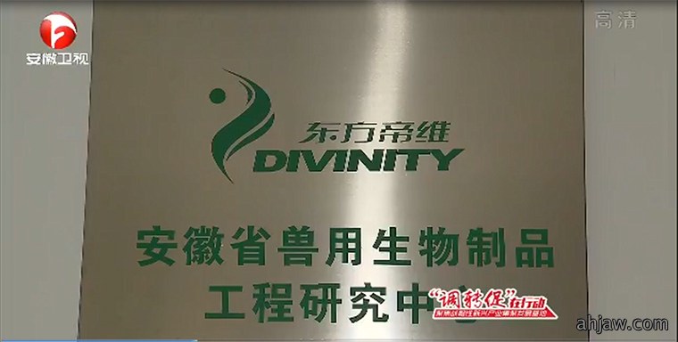 东方帝维技术经理杜家林接受安徽电视台采访
