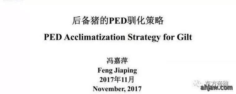 东方帝维直播曹曼大会,干货都在这里!!!
