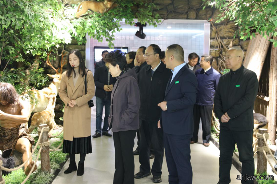 安徽省人大常委副主任沈素琍与亳州市委书记汪一光一行莅临东方帝维参观调研