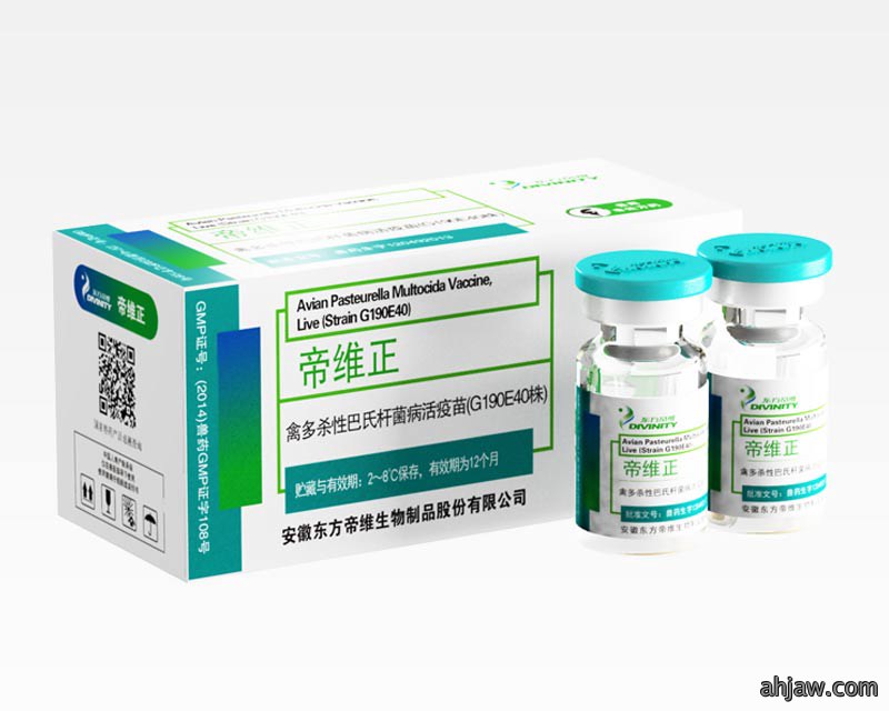 帝维正