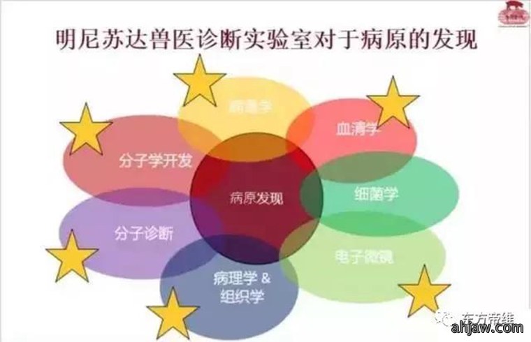 连载:东方帝维直播曹曼大会,干货都在这里!!!
