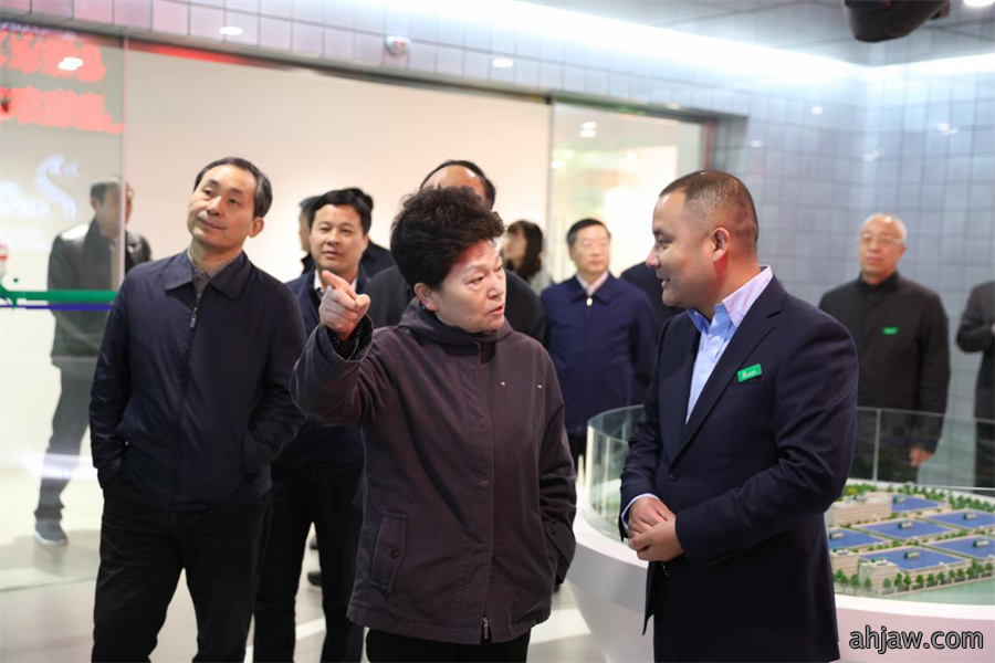安徽省人大常委副主任沈素琍与亳州市委书记汪一光一行莅临东方帝维参观调研