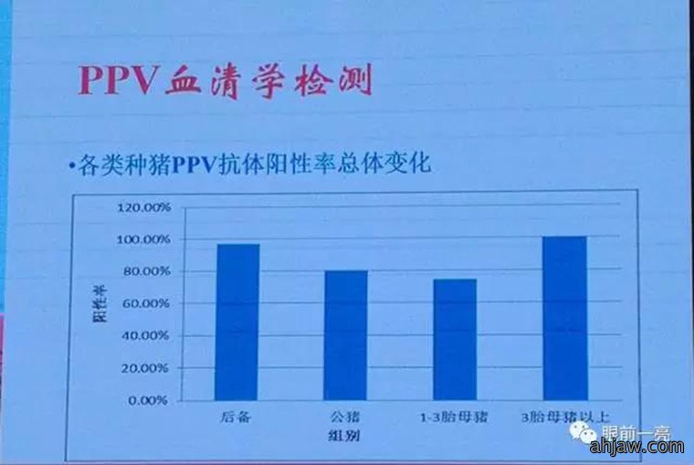 连载:东方帝维直播曹曼大会,干货都在这里!!!