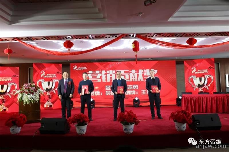 十年风雨铸辉煌 不忘初心创未来 东方帝维喜迎新春