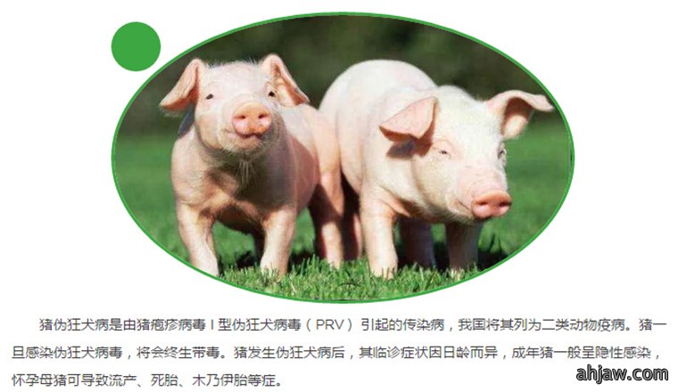 东方帝维健康万场行——东方伪净NO1001案例佐证