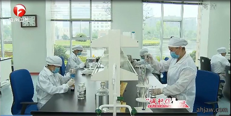 东方帝维技术经理杜家林接受安徽电视台采访