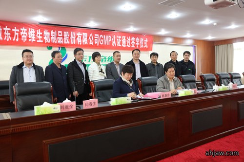 东方帝维接受GMP验收专家组莅临检查