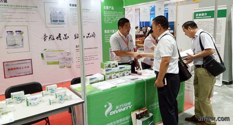 东方帝维参加2016年国际(亳州)中医药博览会
