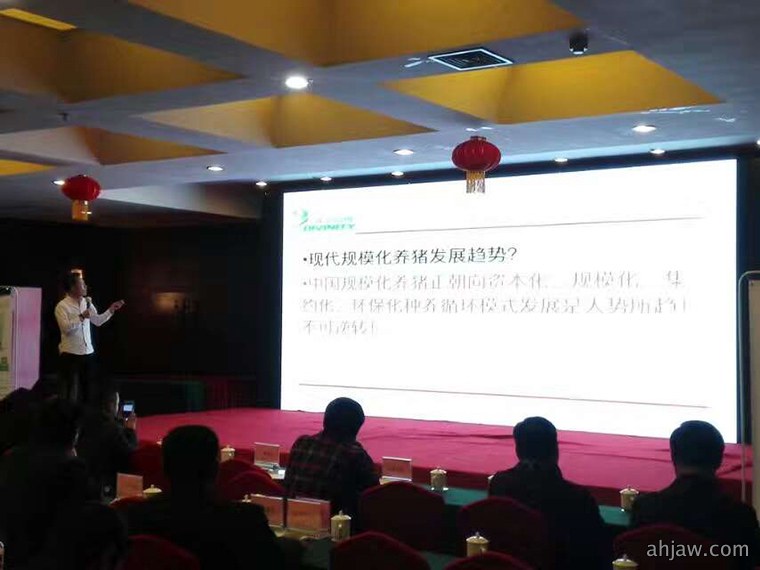 爆品暴动 东方伪净大卖