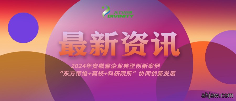 2024年安徽省企业典型创新案例|“东方帝维+曹...