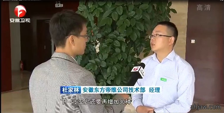 东方帝维技术经理杜家林接受安徽电视台采访