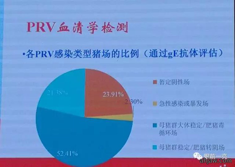 连载:东方帝维直播曹曼大会,干货都在这里!!!