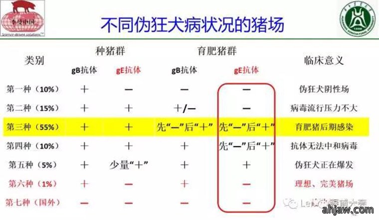 东方帝维直播曹曼大会,干货都在这里!!!