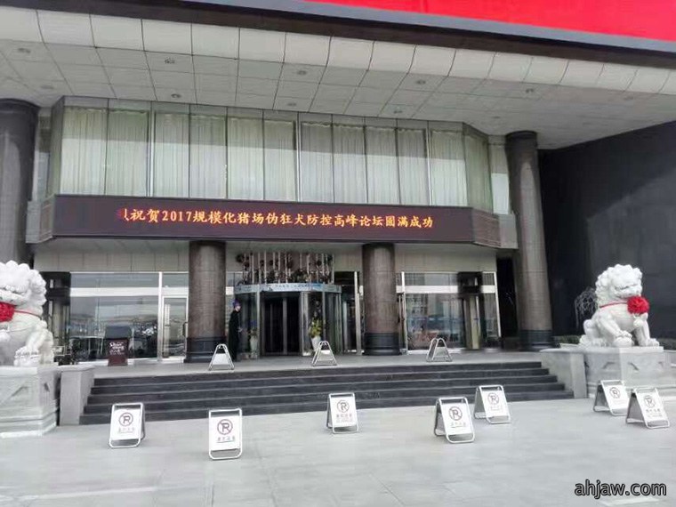 爆品暴动 东方伪净大卖