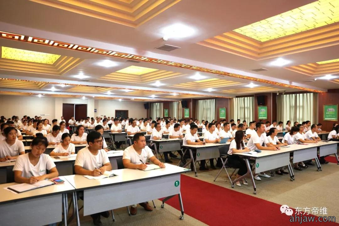 东方帝维2018年半年度工作总结 暨表彰动员大会圆满举行