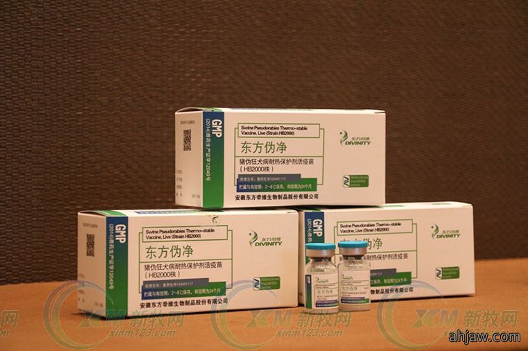 为了免疫净化和生产成绩,你做好淘汰猪的准备了么?