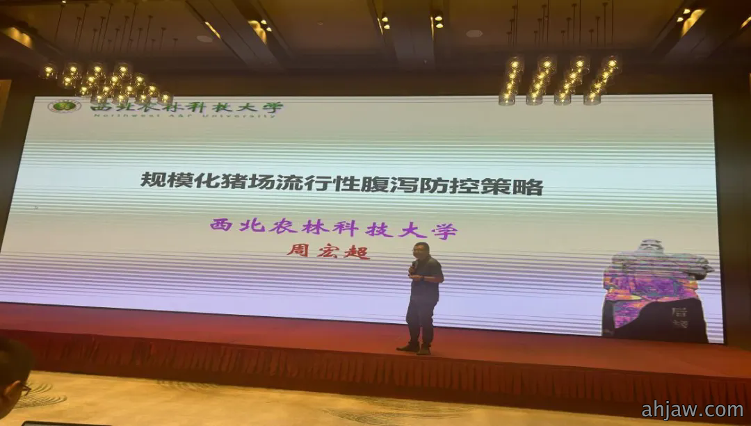 1732582470410072.png 640.webp (1).png