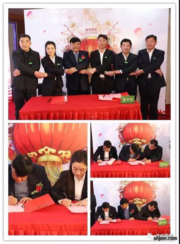 凝心聚力 跨越发展 | 东方帝维2018新春年会报道