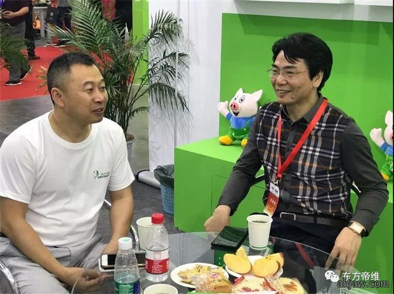 你好，重庆！东方帝维闪亮十六届畜博会