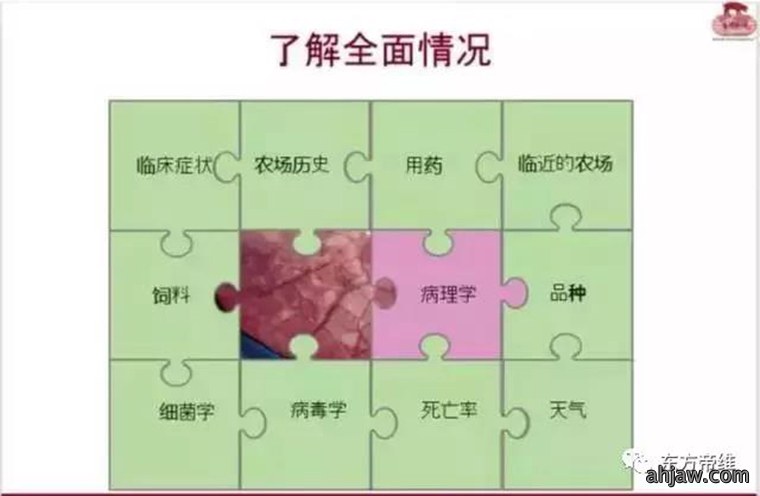 连载:东方帝维直播曹曼大会,干货都在这里!!!