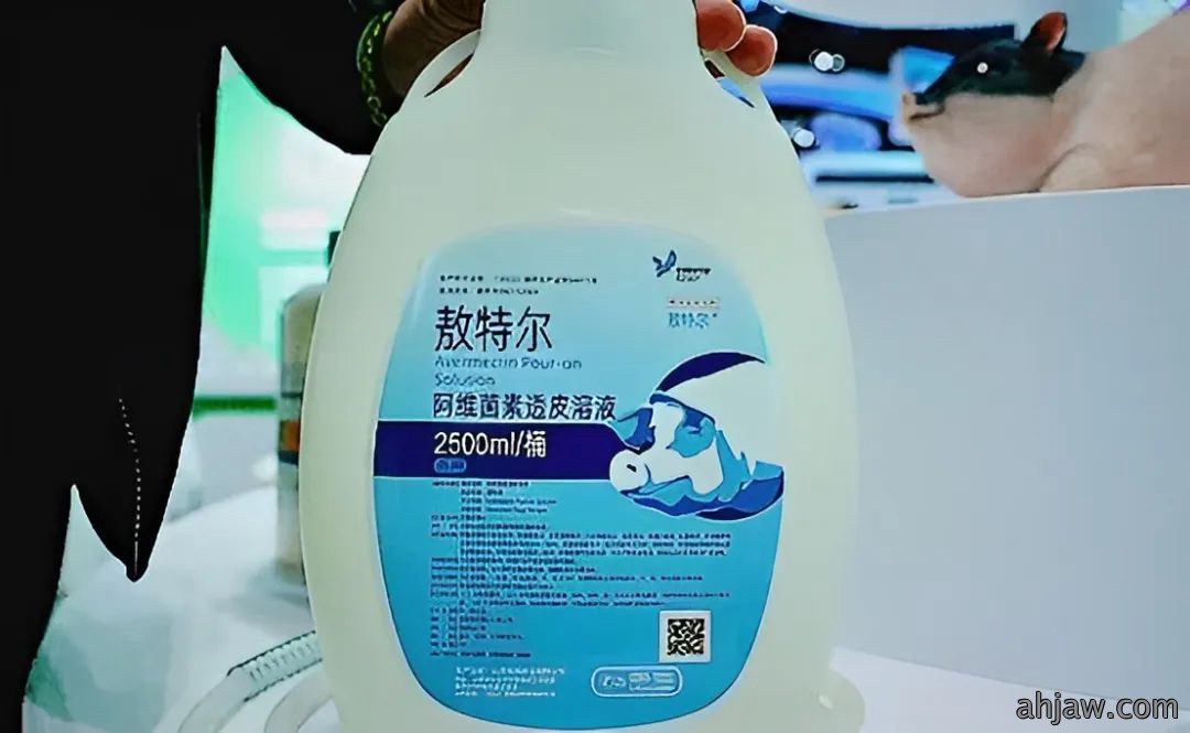 1732591655245560.jpg 640 (1).jpg